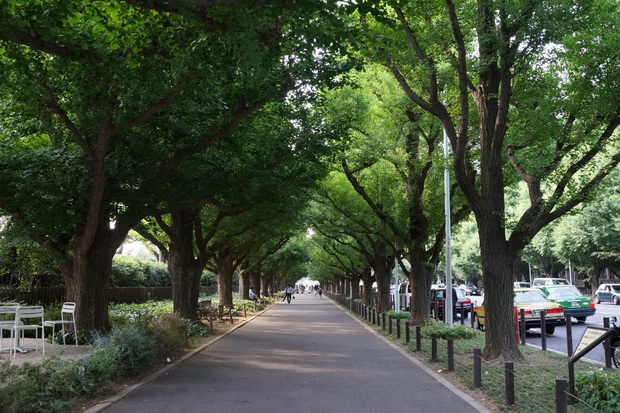 2_resize
