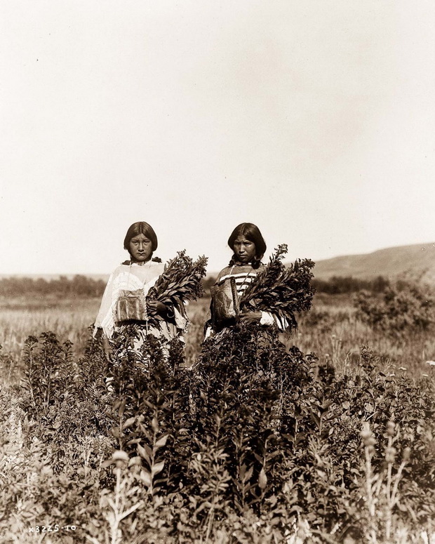 www.rarehistoricalphotos.com