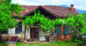 Елегија за едно село