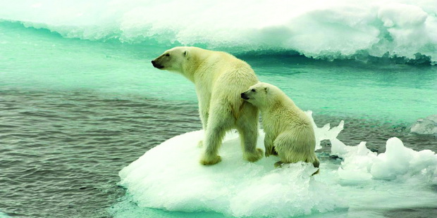 china-dialogue-ocean-melting-ice-caps-polar-bears-1440x720_resize