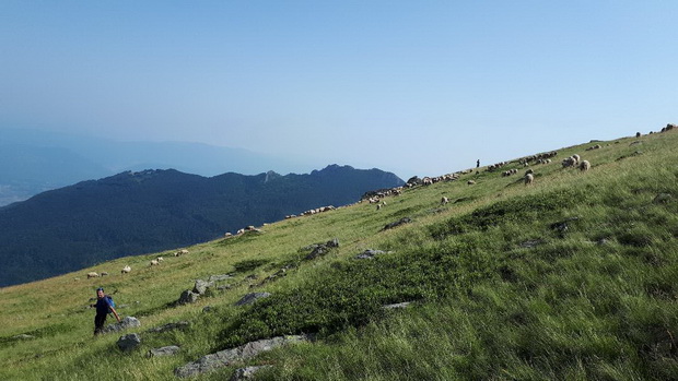 02_resize