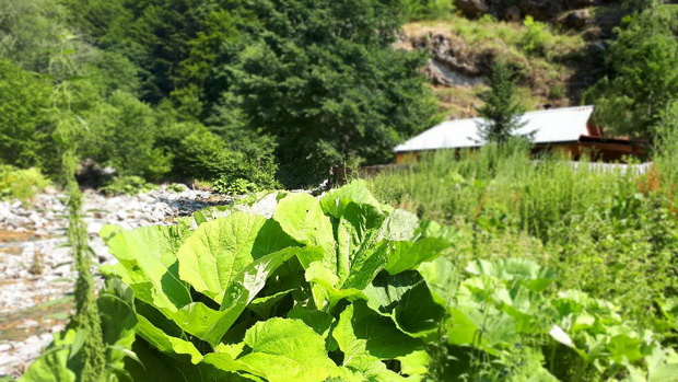 05_resize