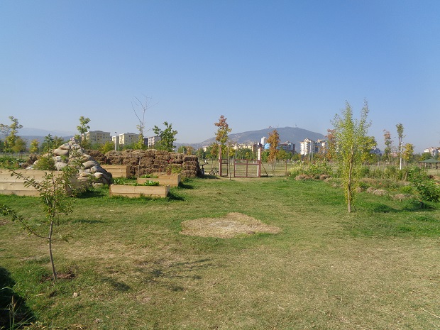 DSC03858