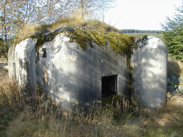 czech3