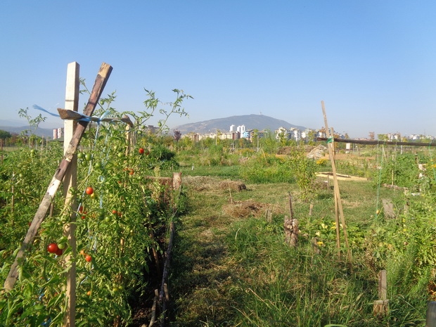 DSC03807_resize