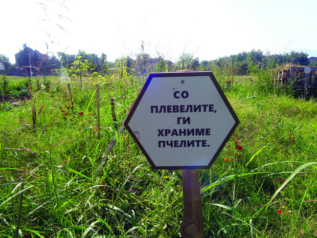 DSC03820_resize