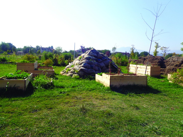 DSC03839_resize