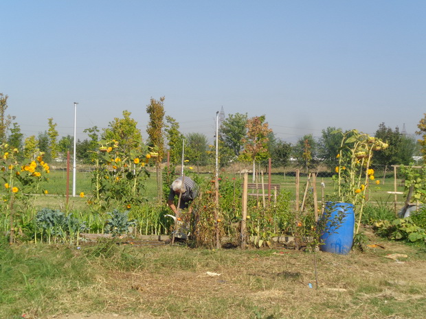 DSC03846_resize