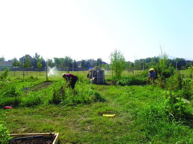 DSC03854_resize