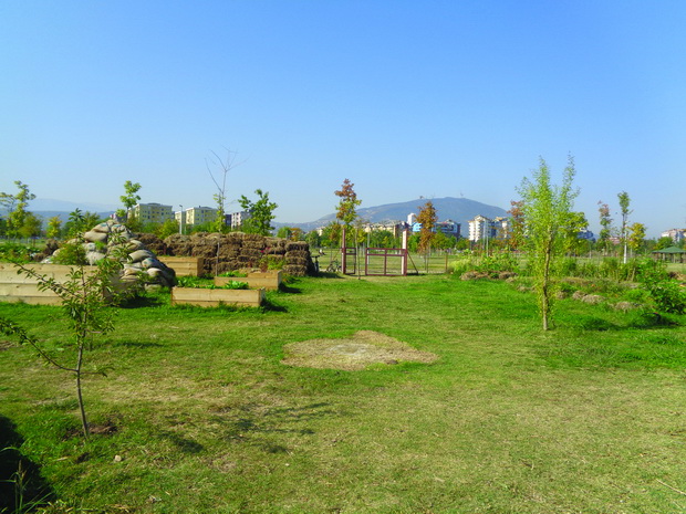DSC03858_resize