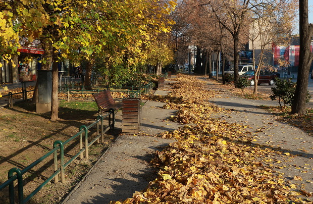 4H5A9745_resize
