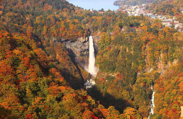 6_resize