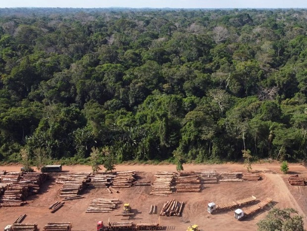 Amazonija3