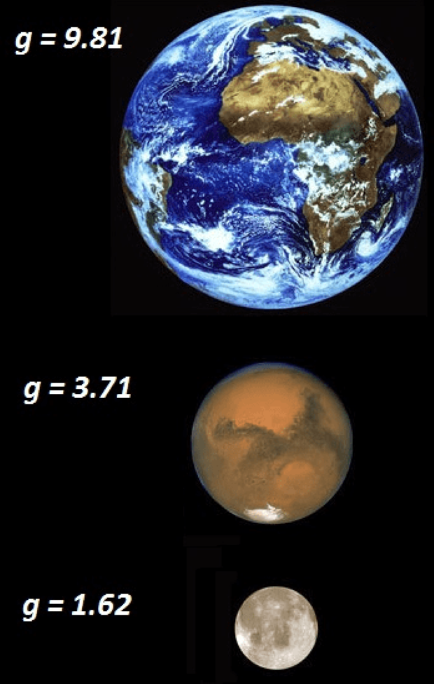 fridman6