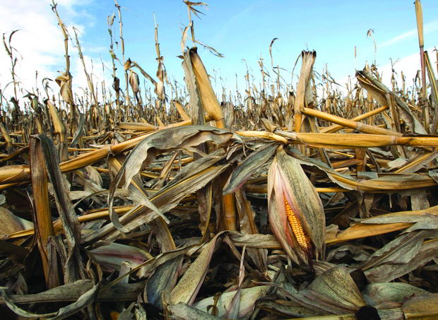 Obamas IOUs Climate Change