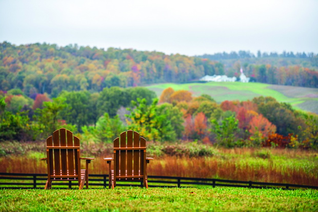 Empty wooden chairs in autumn fall foliage season countryside at Charlottesville winery vineyard in blue ridge mountains of Virginia with cloudy sky day