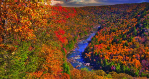 Раскош на есенските бои во Вирџинија