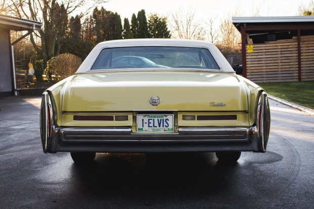 elvis2