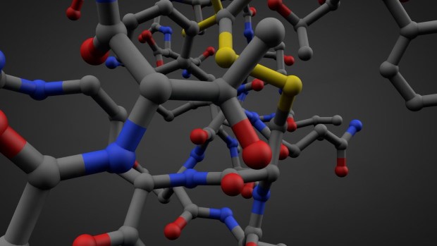 2dPolymer2