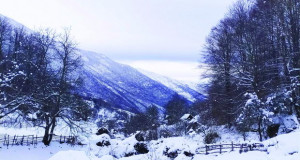 Селото Патишка Река, снегот и ловџиите