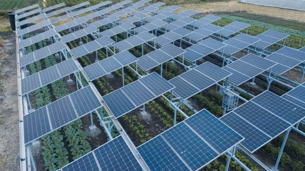 agrivoltaica3