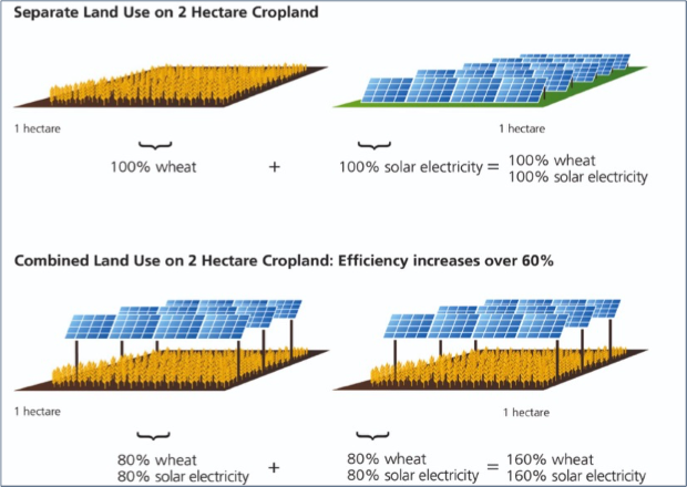 agrivoltaica4