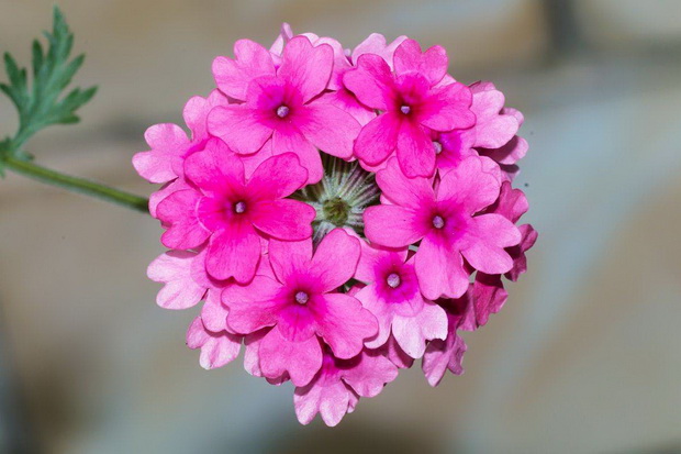 3_resize