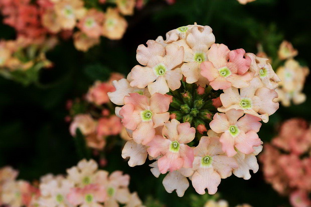 4_resize