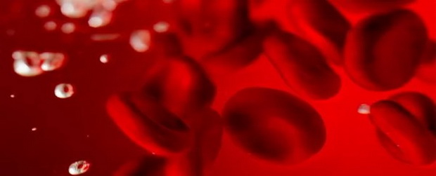 pl5_resize