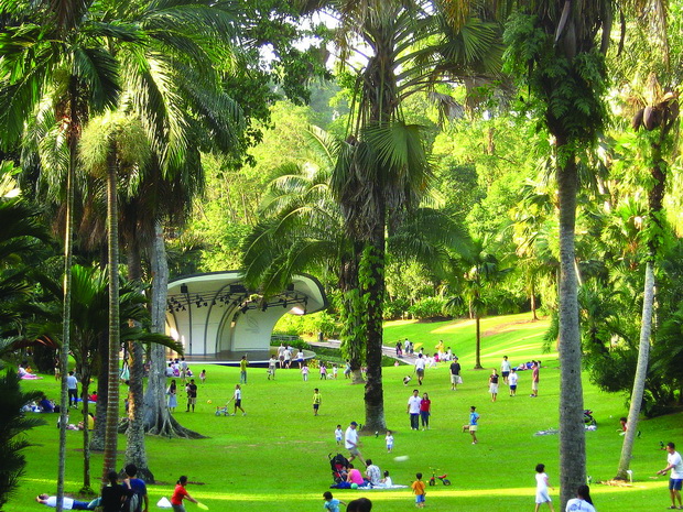 1200px-Singapore_Botanic_Gardens_Palm_Valley_resize