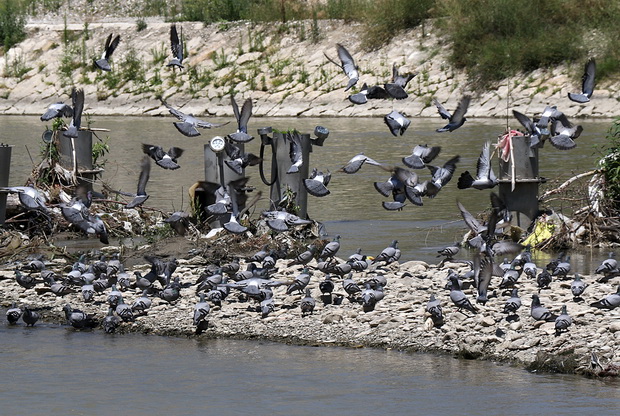 4H5A4567_resize