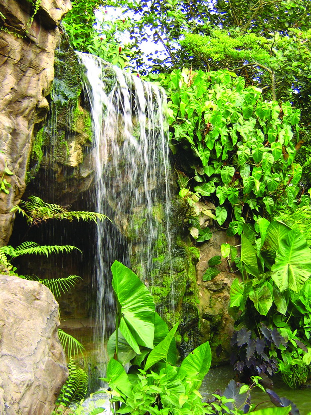 Singapore_Botanic_Gardens_waterfall_resize