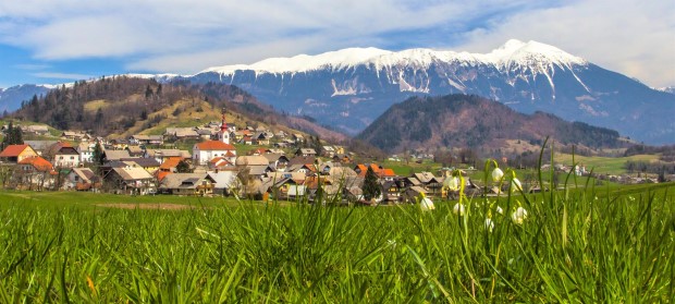 bled3
