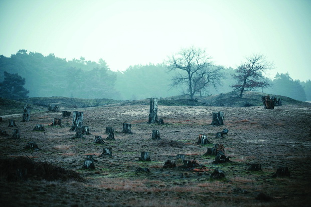 eco314-3_resize