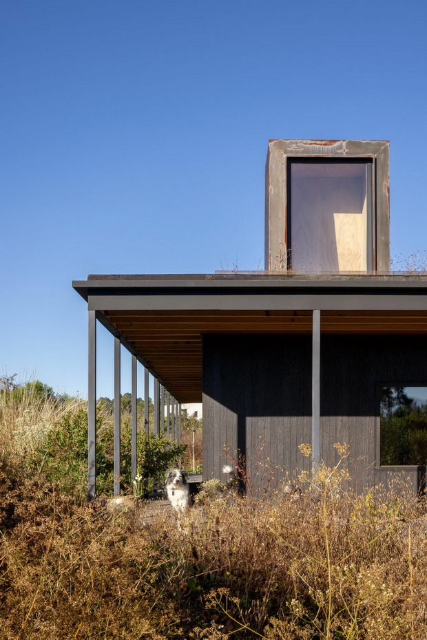 13_resize
