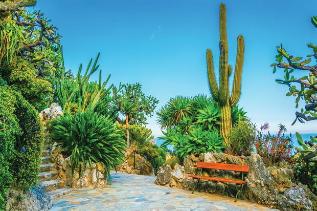 Jardin Exotique