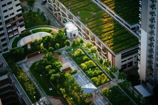 greenroof1