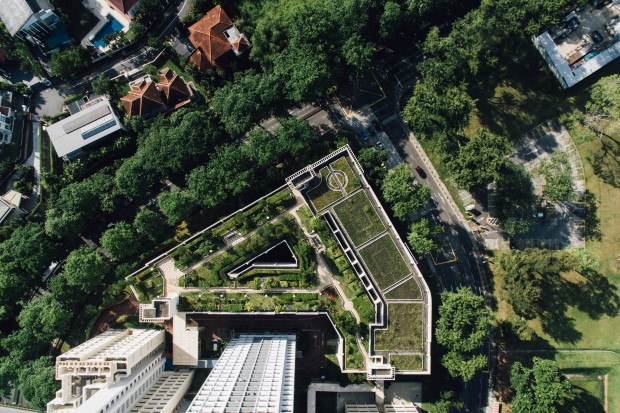 greenroofs2