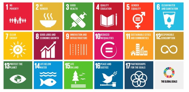sdg1