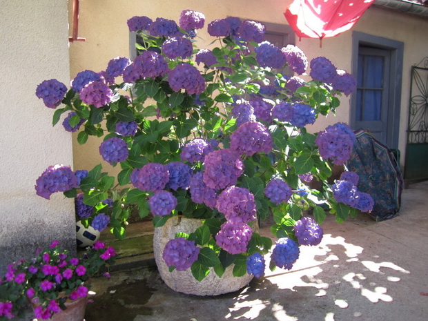 4_resize