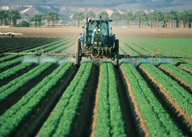 Земјоделците бараат дополнително попуштање на еколошките мерки: Пет земји од ЕУ ќе добијат зелено светло