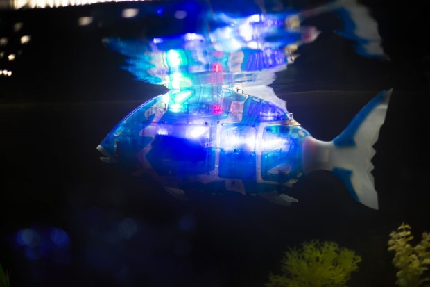 ribarobot2