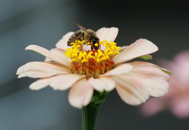 4H5A4118_resize