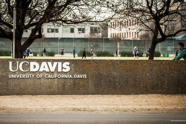 davis2