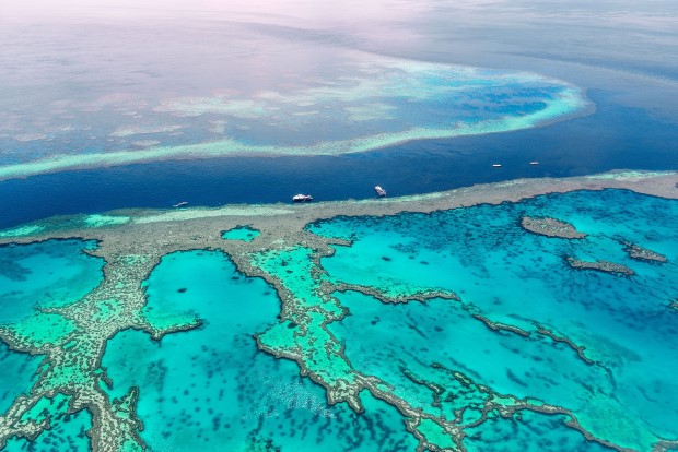 great reef1