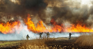 Ширум ЕУ веќе изгореа 600.000 хектари во шумски пожари