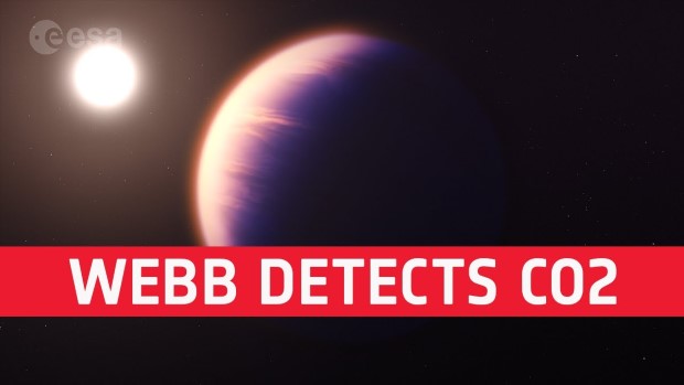 webb2