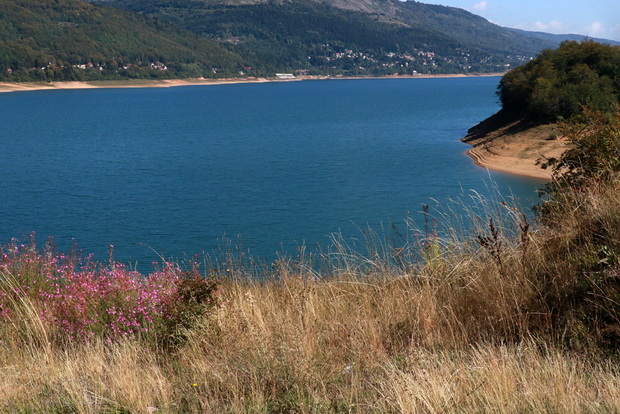 4H5A7887_resize