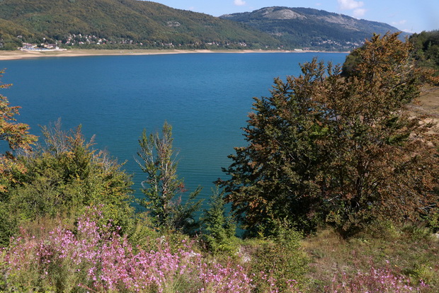 4H5A7902_resize
