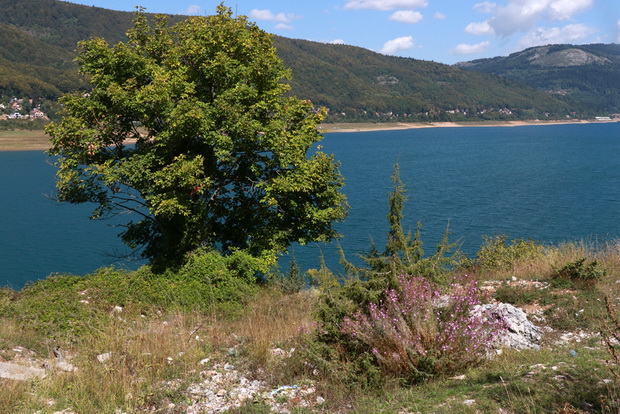 4H5A8105_resize